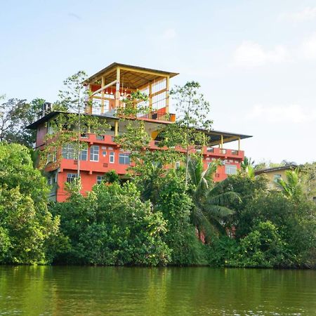 Madu River Edge Balapitiya Exterior foto